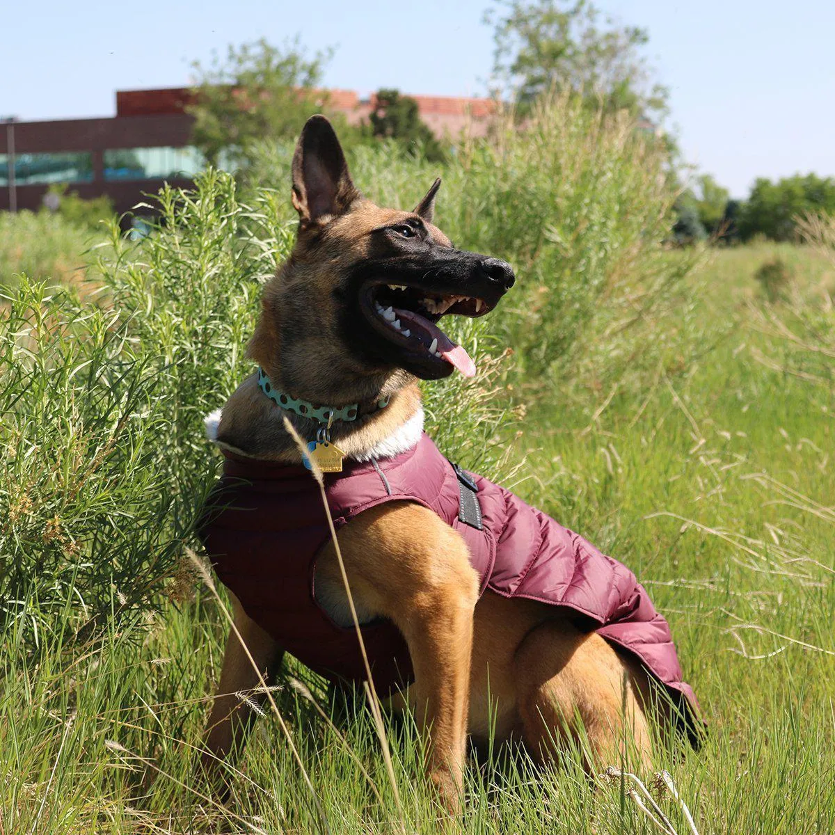 Alpine Extreme Weather Puffer Dog Coat Burgundy